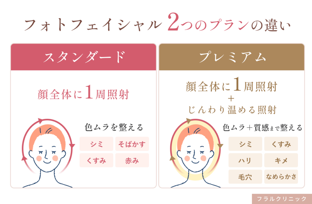 シミ記事_フォト_2つのプラン