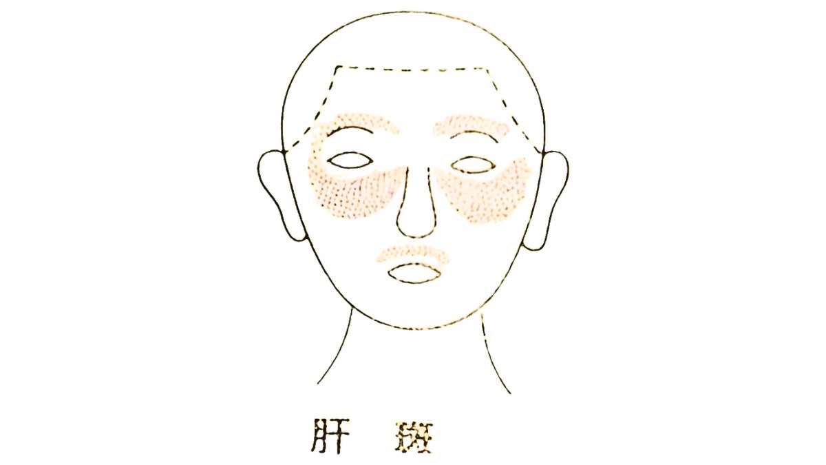 皮膚科学症例説明