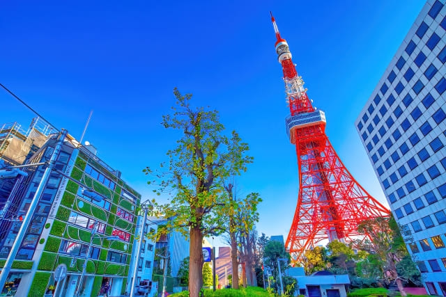 地域別のおすすめメンズ医療脱毛クリニックのイメージ