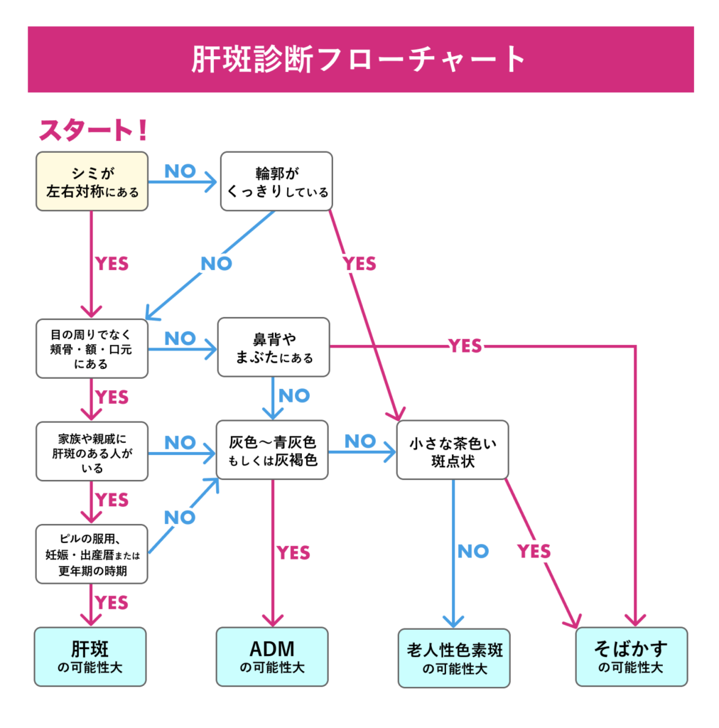 肝斑を見分けるセルフ診断フローチャート