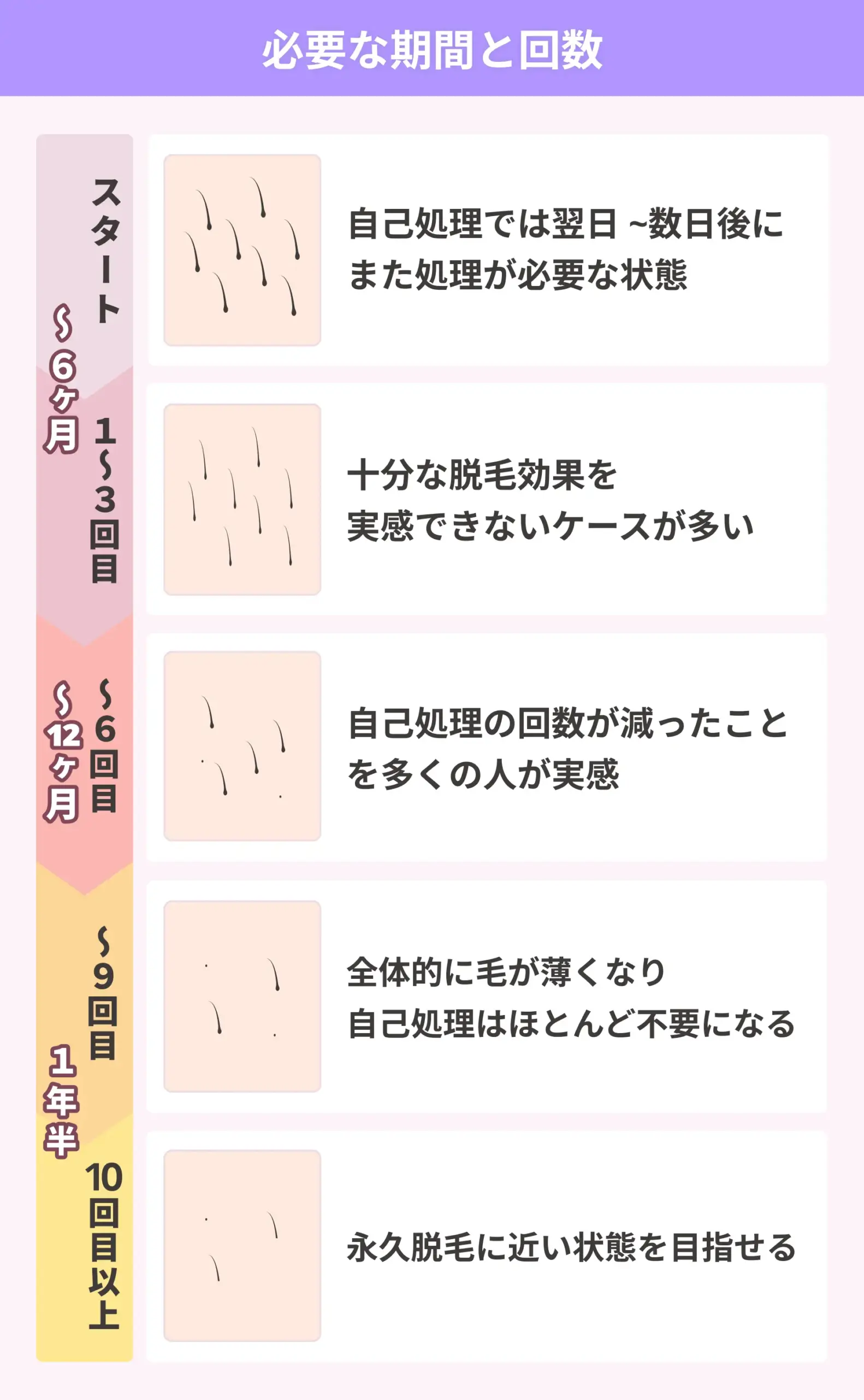 医療脱毛の回数目安と期間の図表