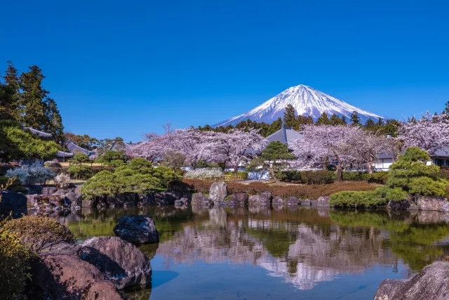 静岡市以外の主要エリアのおすすめメンズ医療脱毛クリニック情報