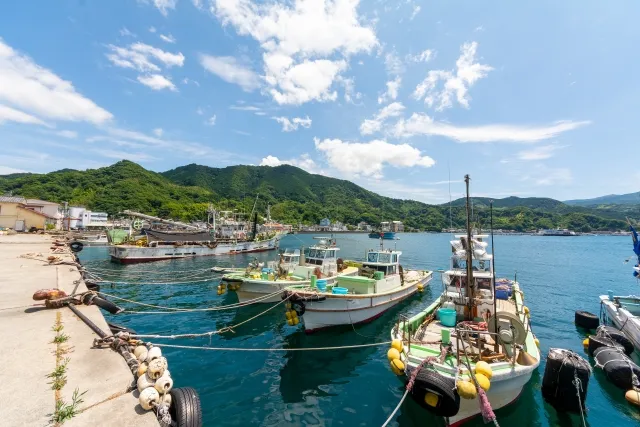 【東部】静岡の沼津・三島周辺で通える医療脱毛