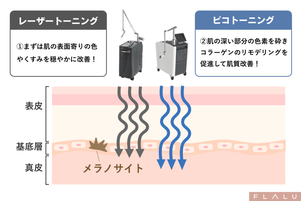 肝斑記事_LTPT比較画像