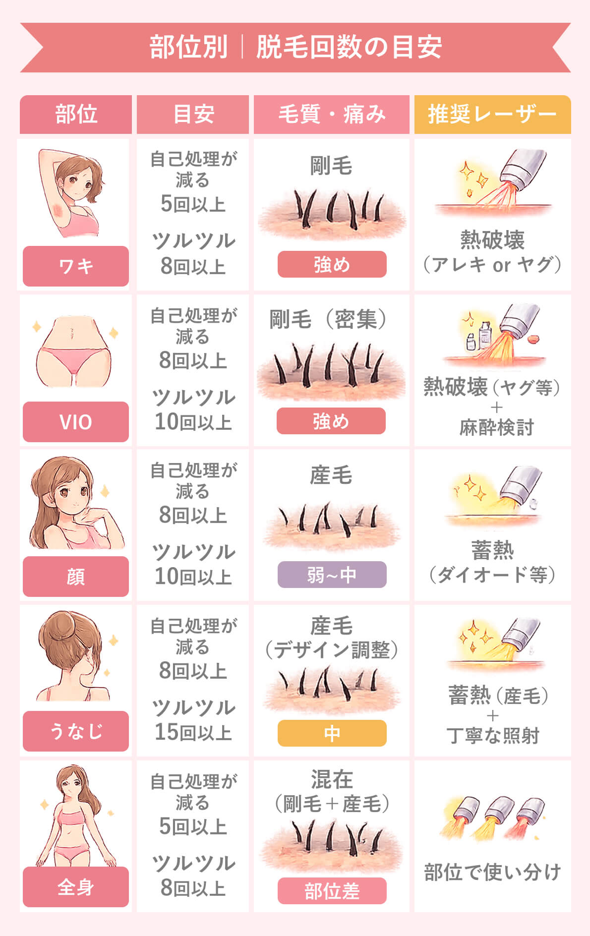 部位別|脱毛回数の目安