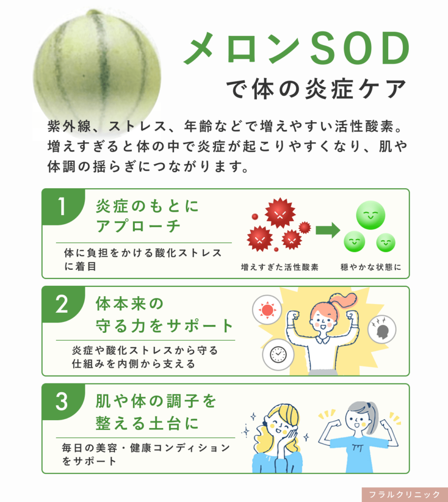 メロンSODについて