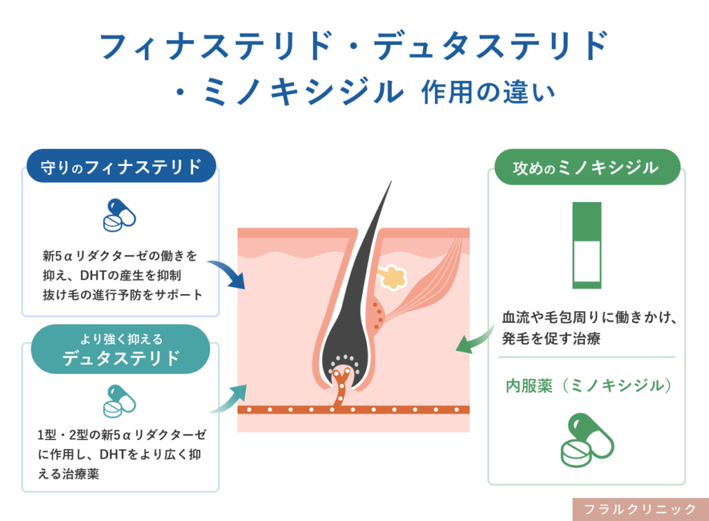 25_AGA_フィナ、デュタ、ミノキの作用機序の違い