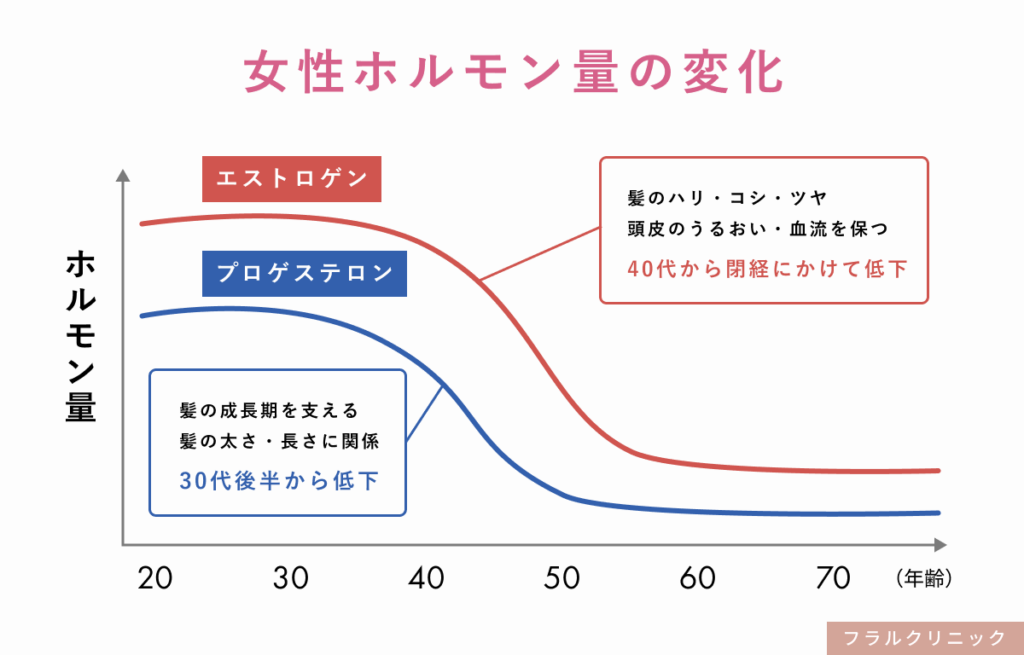 6_FAGA_ホルモンバランスの変化