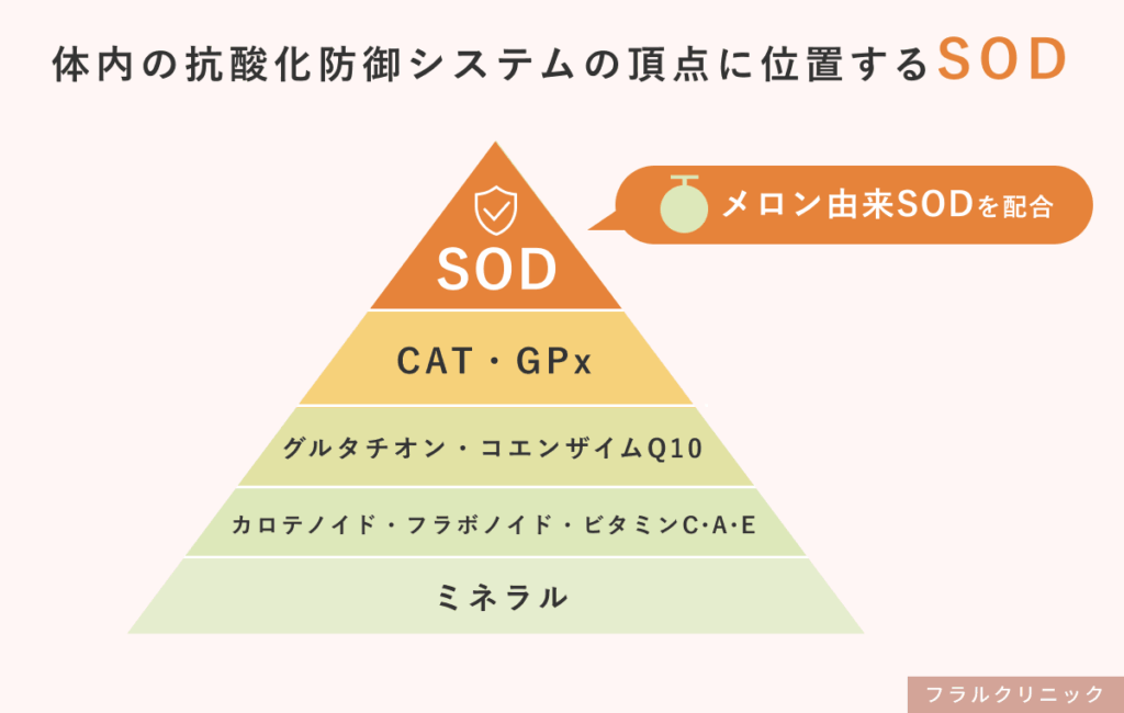 12_エクソソーム髪の健康維持をサポートするサプリメント「黒髪生活」