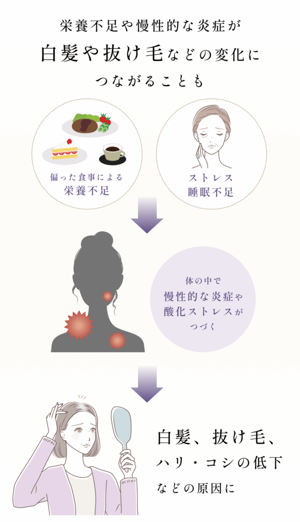 3_黒髪生活-1