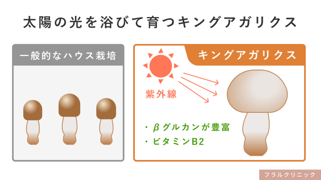 13_エクソソーム_髪の健康維持をサポートするサプリメント「黒髪生活」