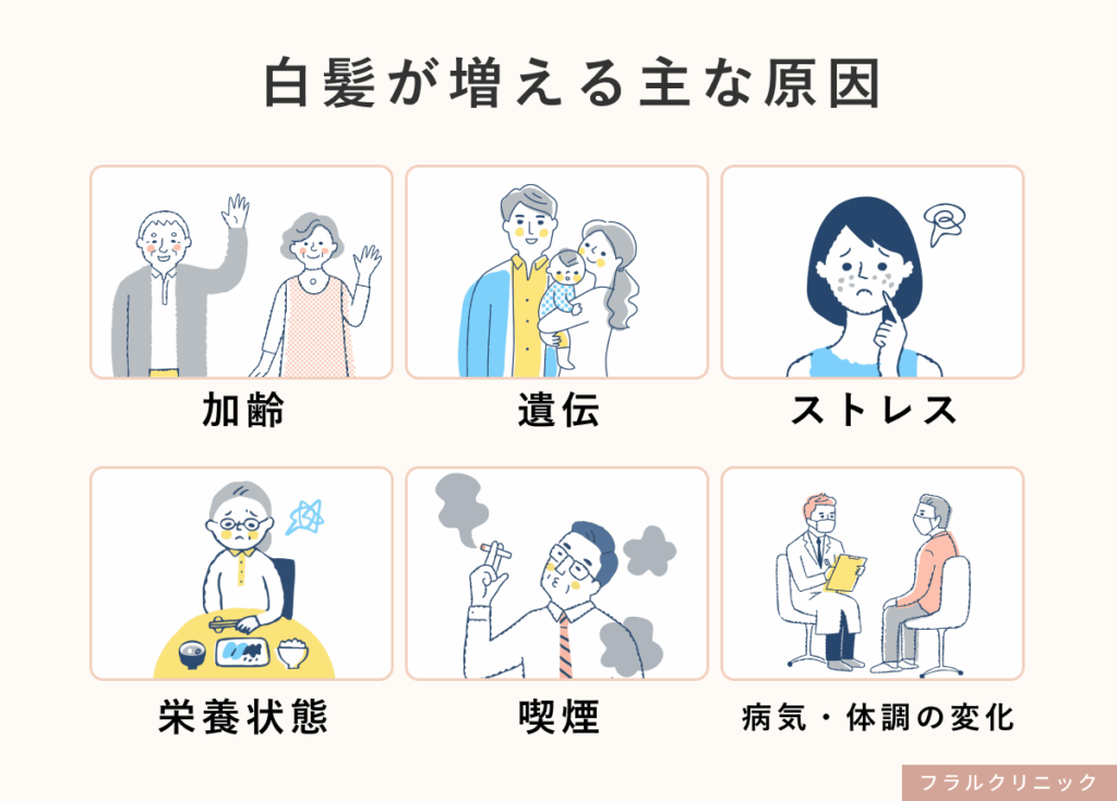 4_白髪サプリ_白髪の主な原因は加齢と遺伝です