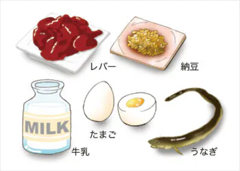 ビタミン