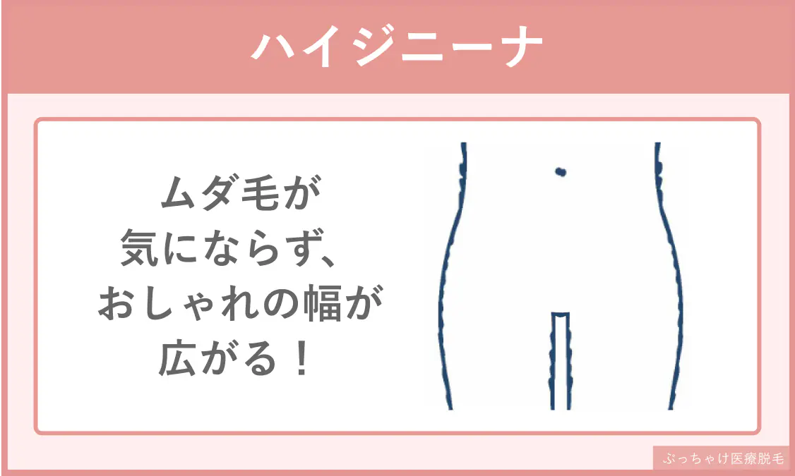 “ハイジニーナ”